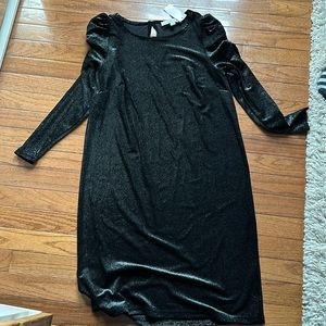 Brand New Loft Dress